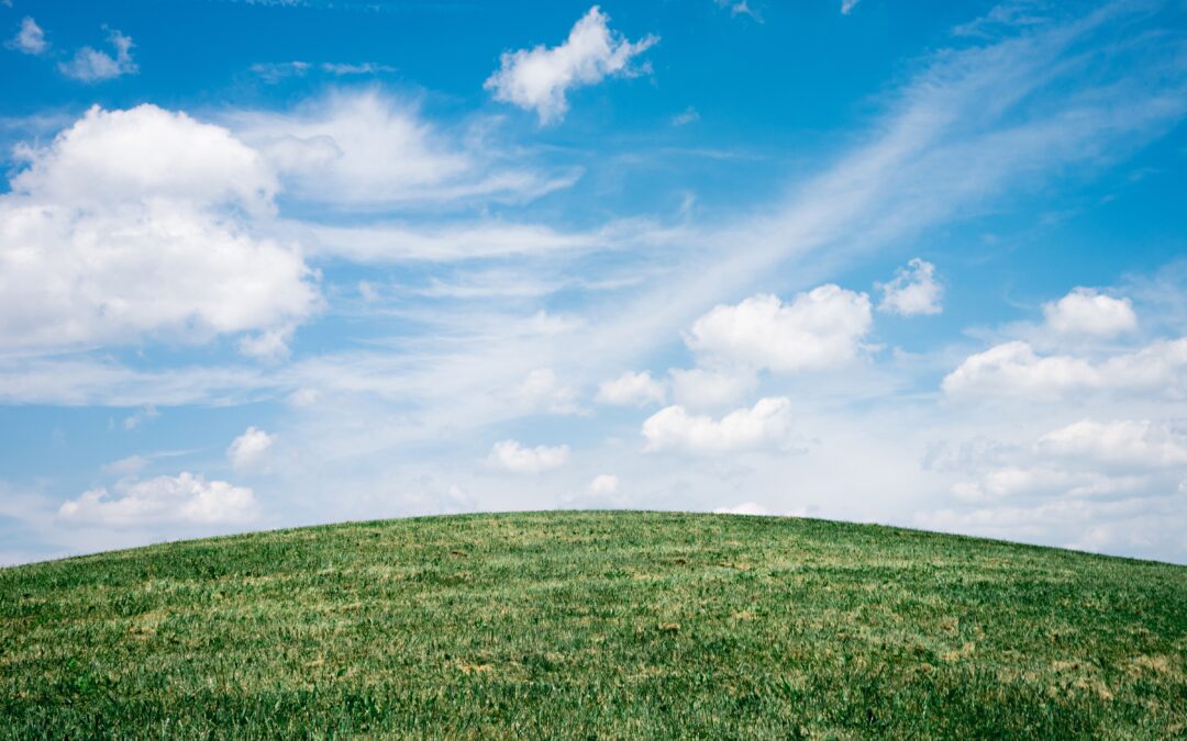 Prospect Hill