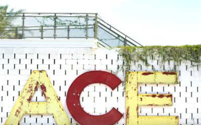 Accepting the Challenge of Excellence (ACE) Awards